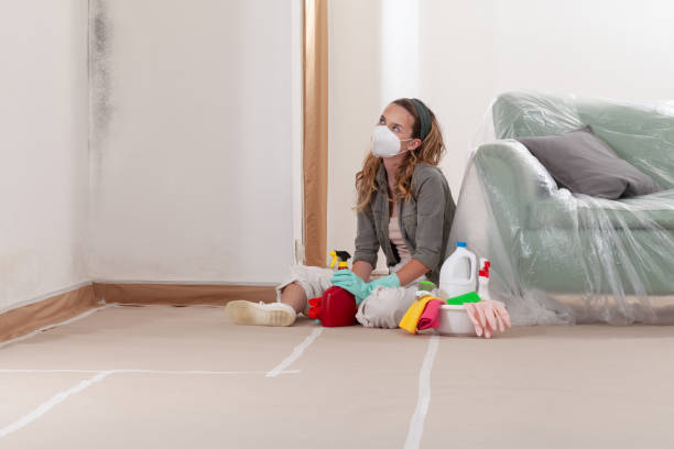 Trusted Attic Mold Removal service in Youngsville, PA - WQB Mold Removal